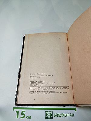 Двести двадцать дней в тылу врага