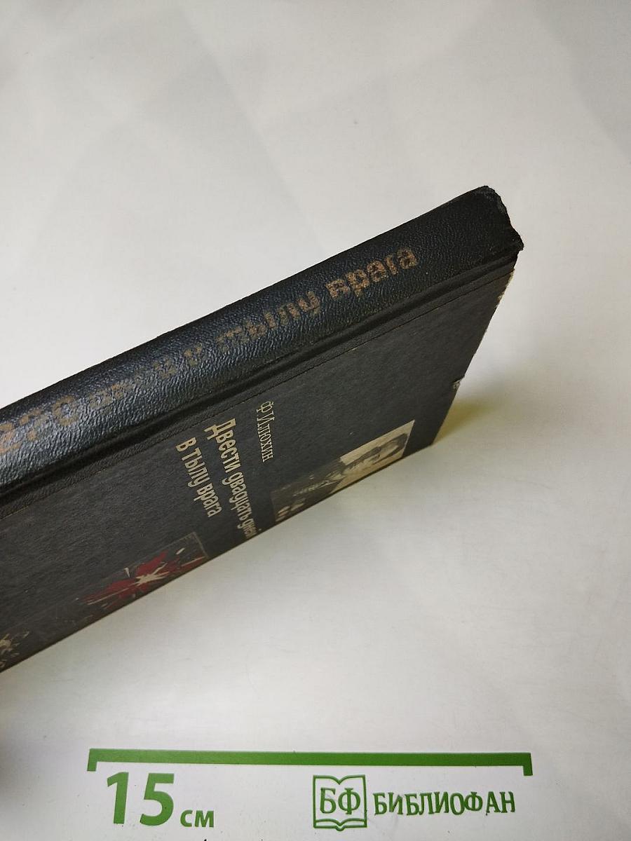 Двести двадцать дней в тылу врага