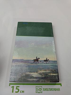 Война и мир. Том второй