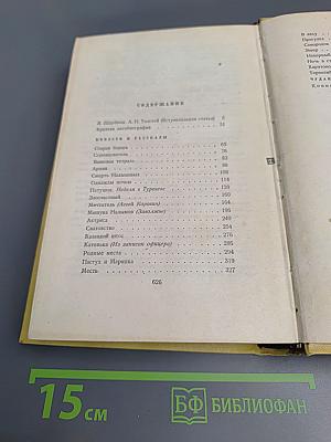 Собрание сочинений. Том первый: Повести и рассказы 1905–1911. Чудаки. Роман