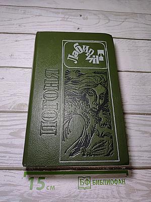 Погоня
