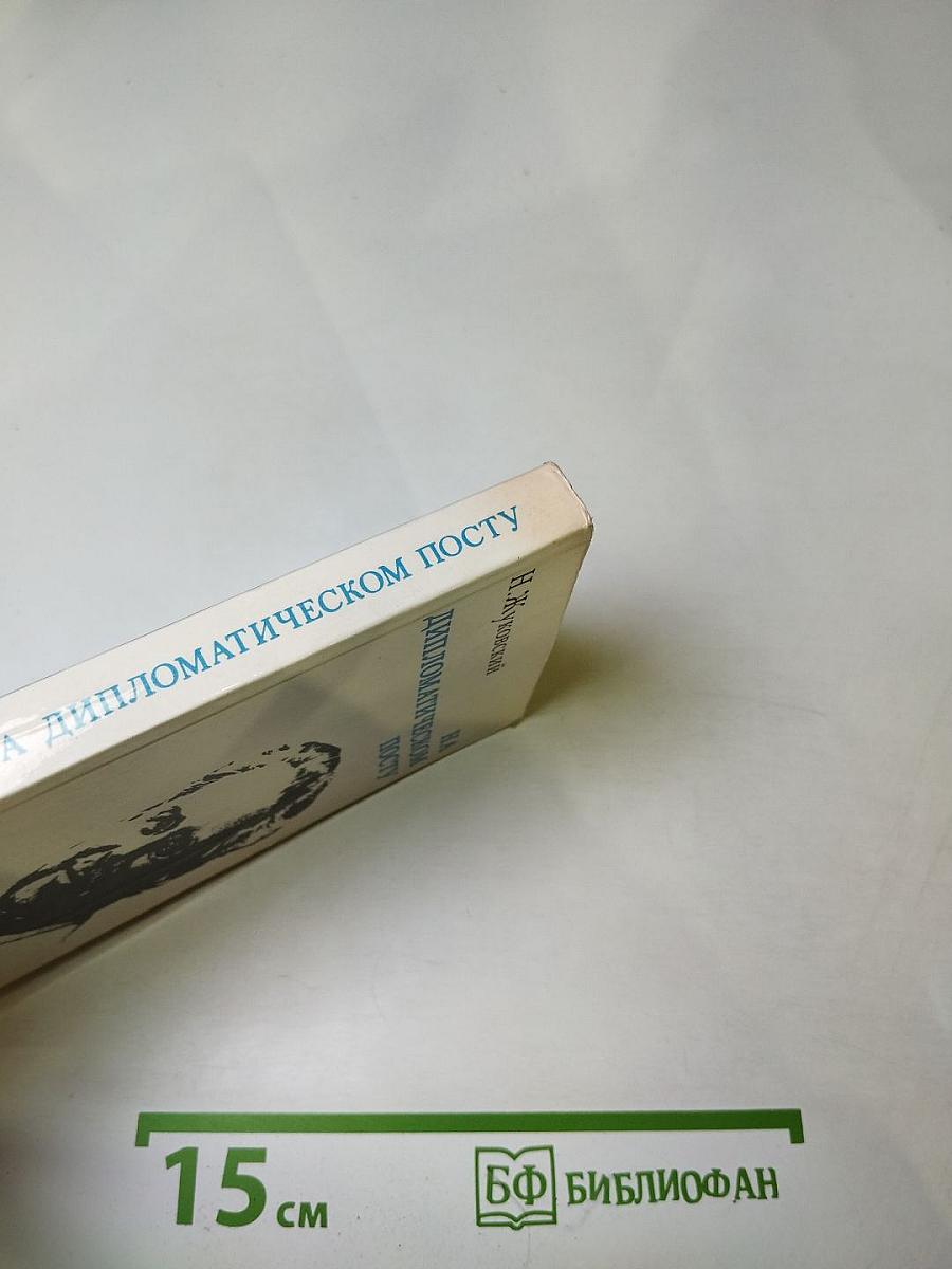 На дипломатическом посту