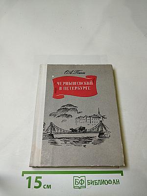 Чернышевский в Петербурге