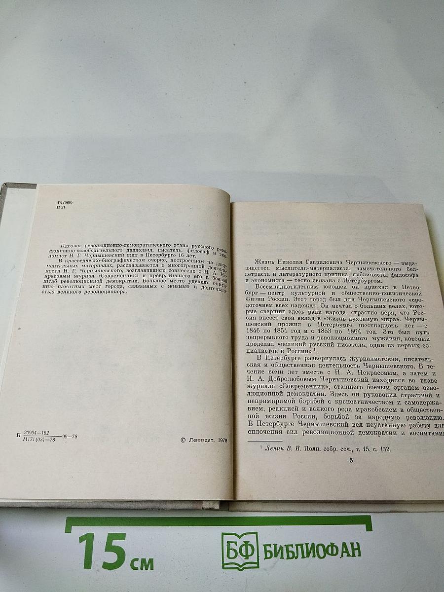 Чернышевский в Петербурге