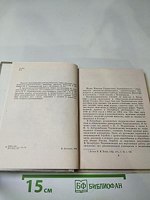 Чернышевский в Петербурге