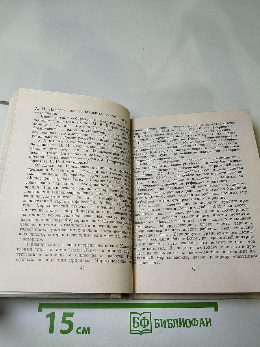 Чернышевский в Петербурге