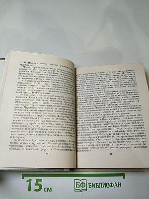 Чернышевский в Петербурге