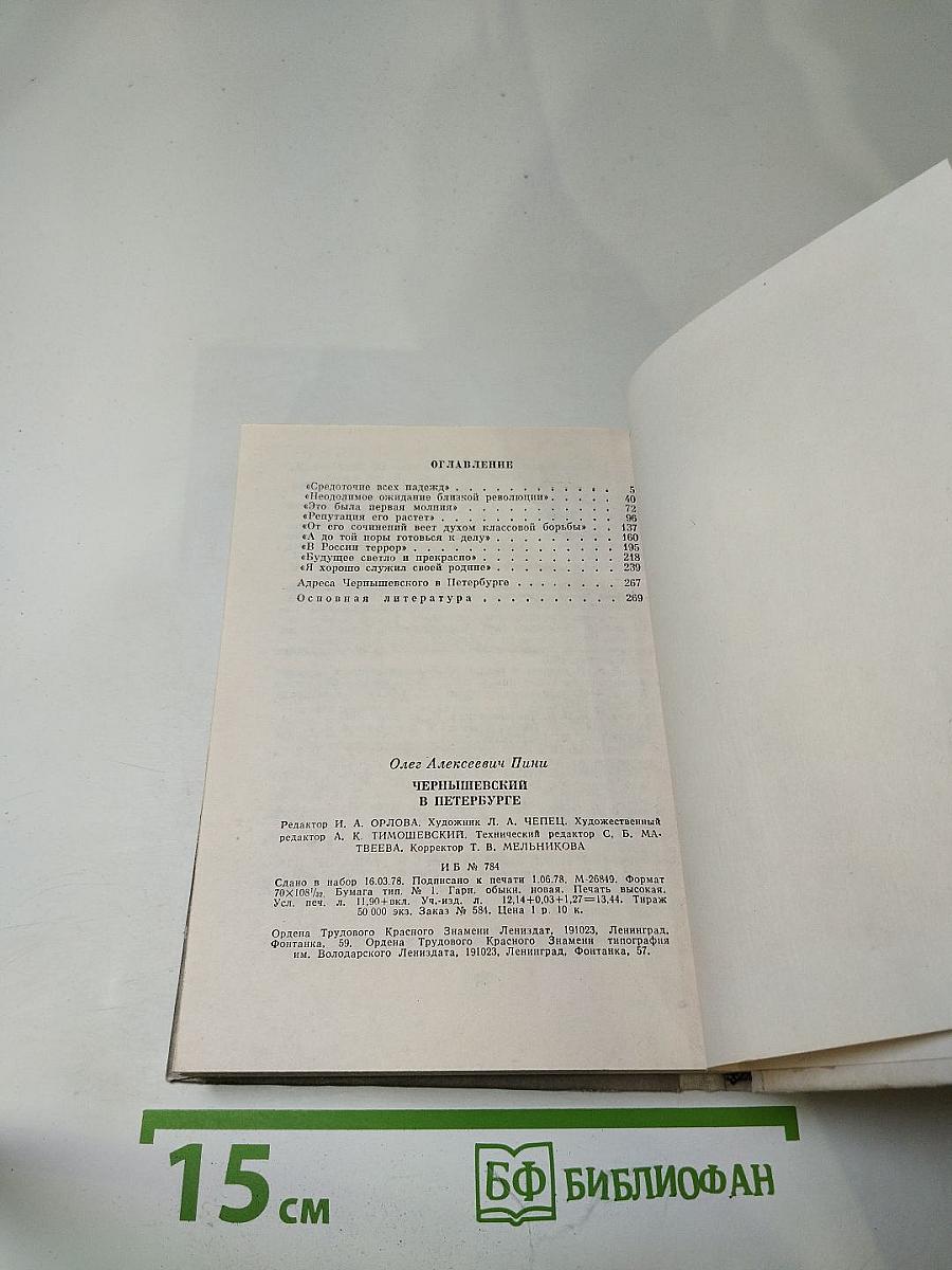 Чернышевский в Петербурге