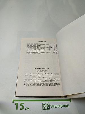 Чернышевский в Петербурге