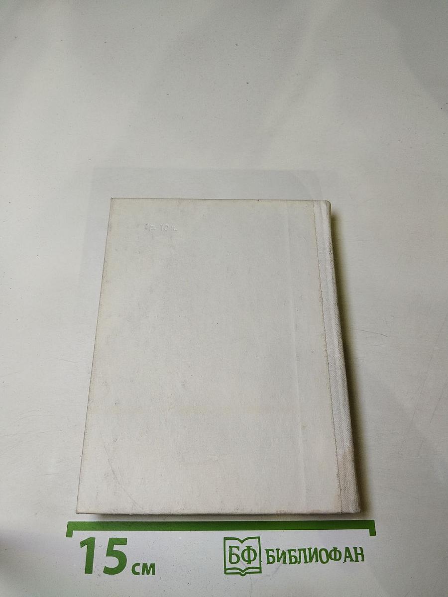 Чернышевский в Петербурге