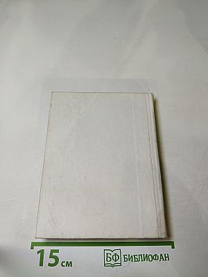 Чернышевский в Петербурге