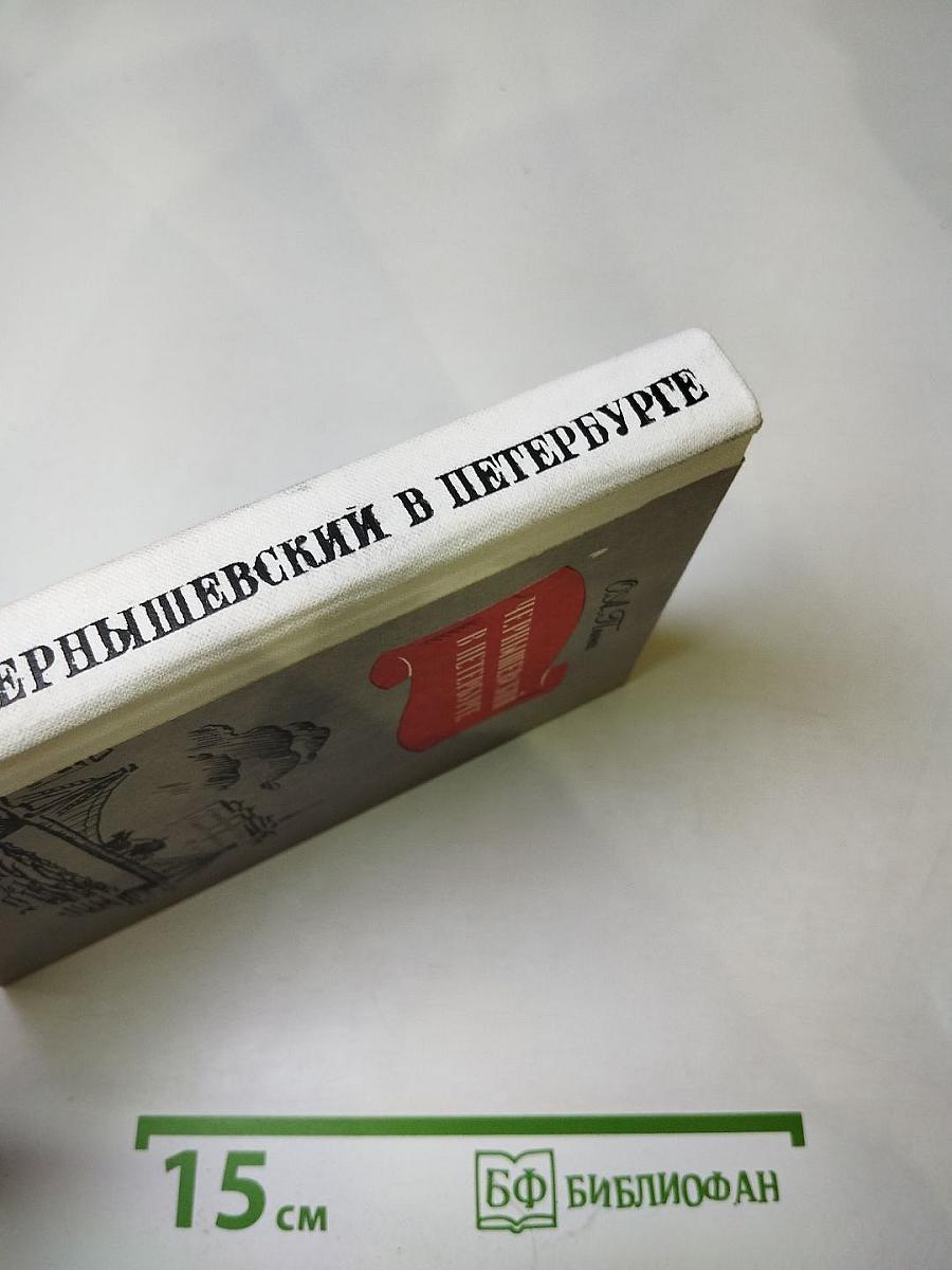 Чернышевский в Петербурге