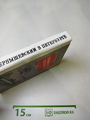 Чернышевский в Петербурге