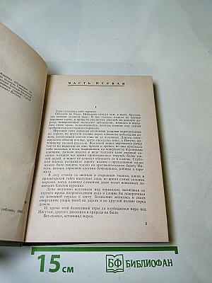 Ледяной клад