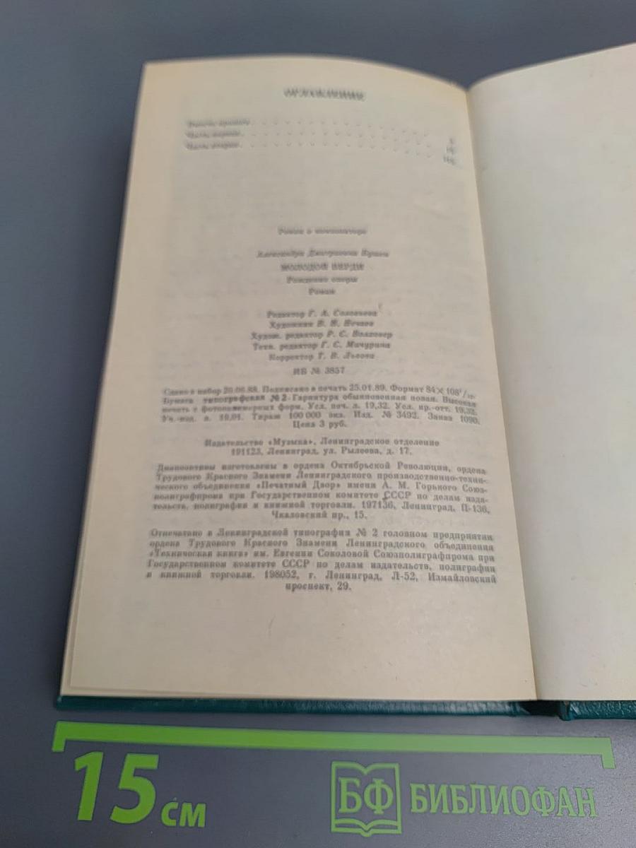 Молодой Верди. Рождение оперы. Роман
