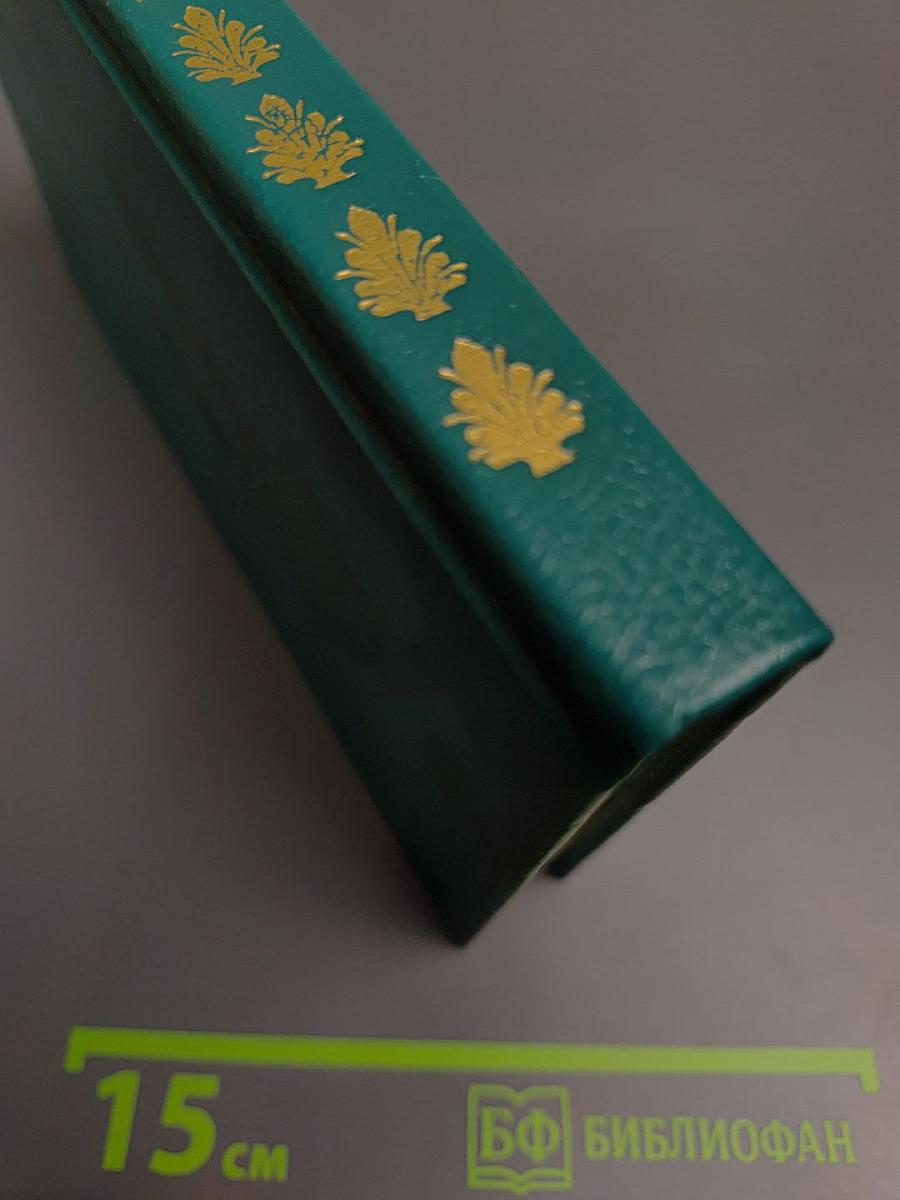 Молодой Верди. Рождение оперы. Роман