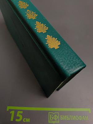 Молодой Верди. Рождение оперы. Роман