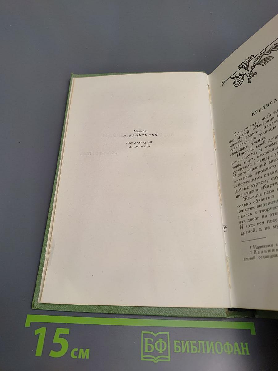 Сочинения. Том шестой. Пьесы