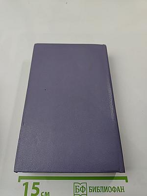 Разин Степан