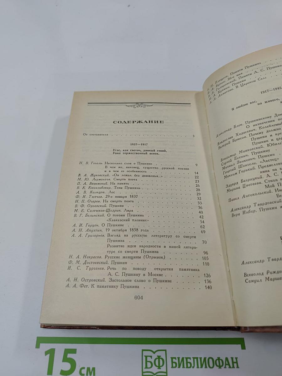 Светлое имя Пушкин. Проза, стихи, пьесы о поэте