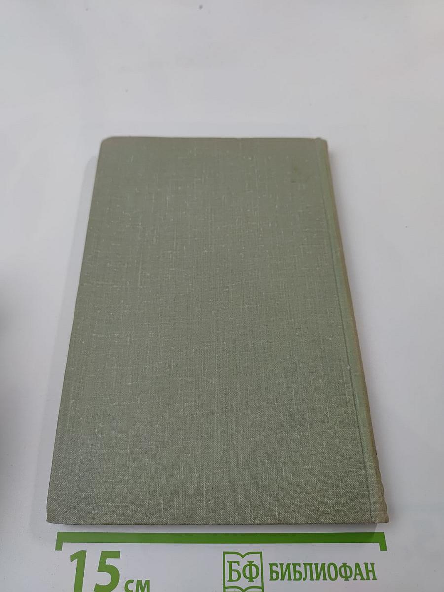 Собрание сочинений. Том седьмой. Повести и рассказы 1863-1870