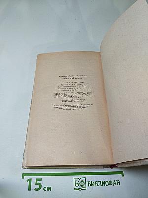 Одинокий поиск