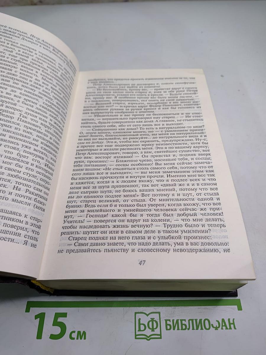 Братья Карамазовы