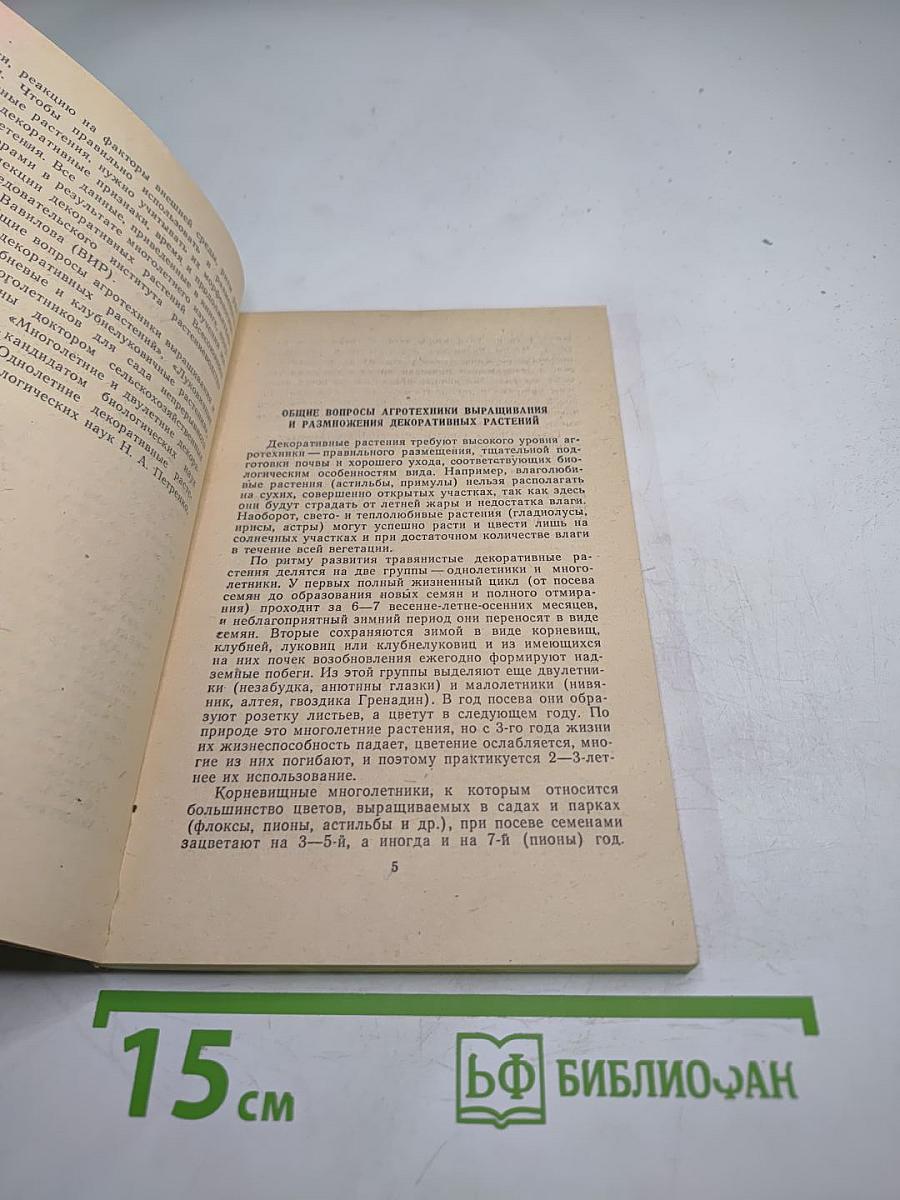 Декоративные растения для приусадебного сада