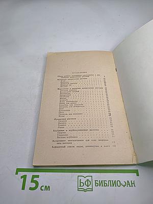 Декоративные растения для приусадебного сада