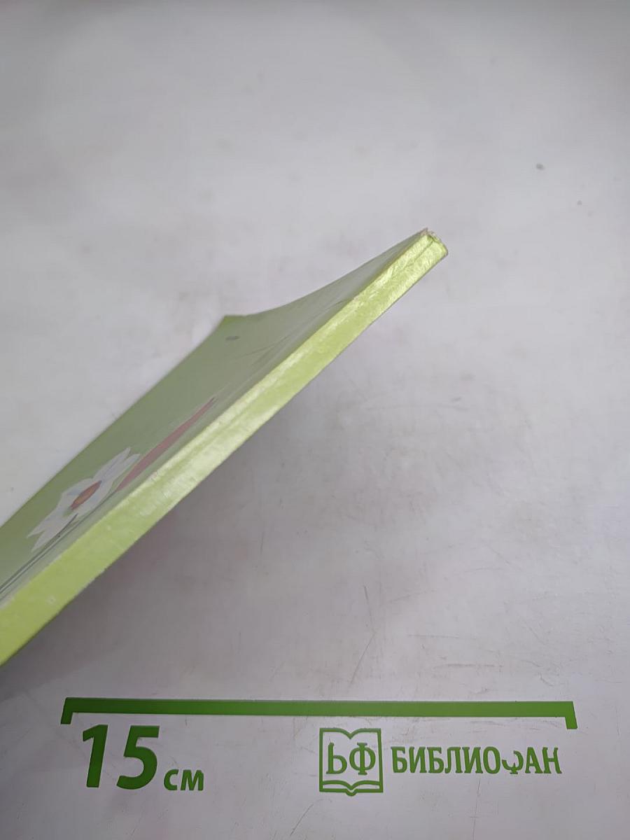 Декоративные растения для приусадебного сада