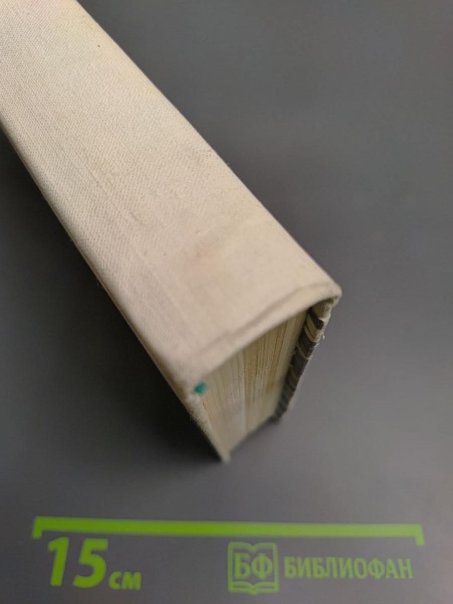 Сквозь всю блокаду