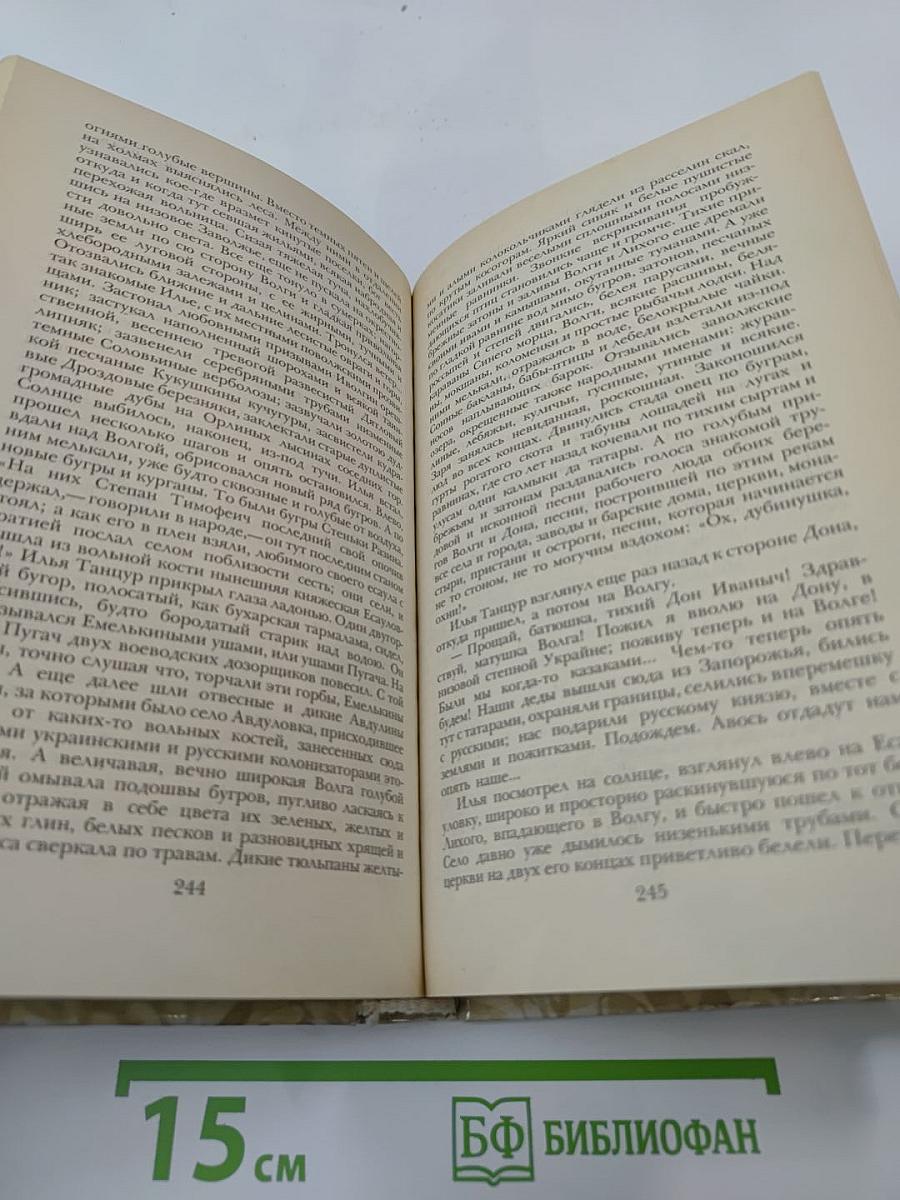 Беглые в Новороссии. Воля. Княжна Тараканова