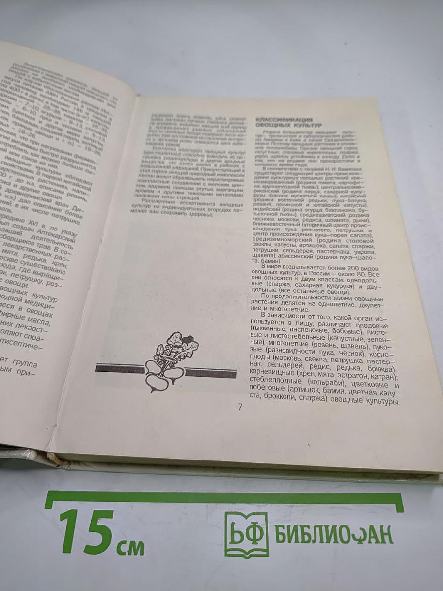 Овощи России