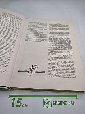 Овощи России