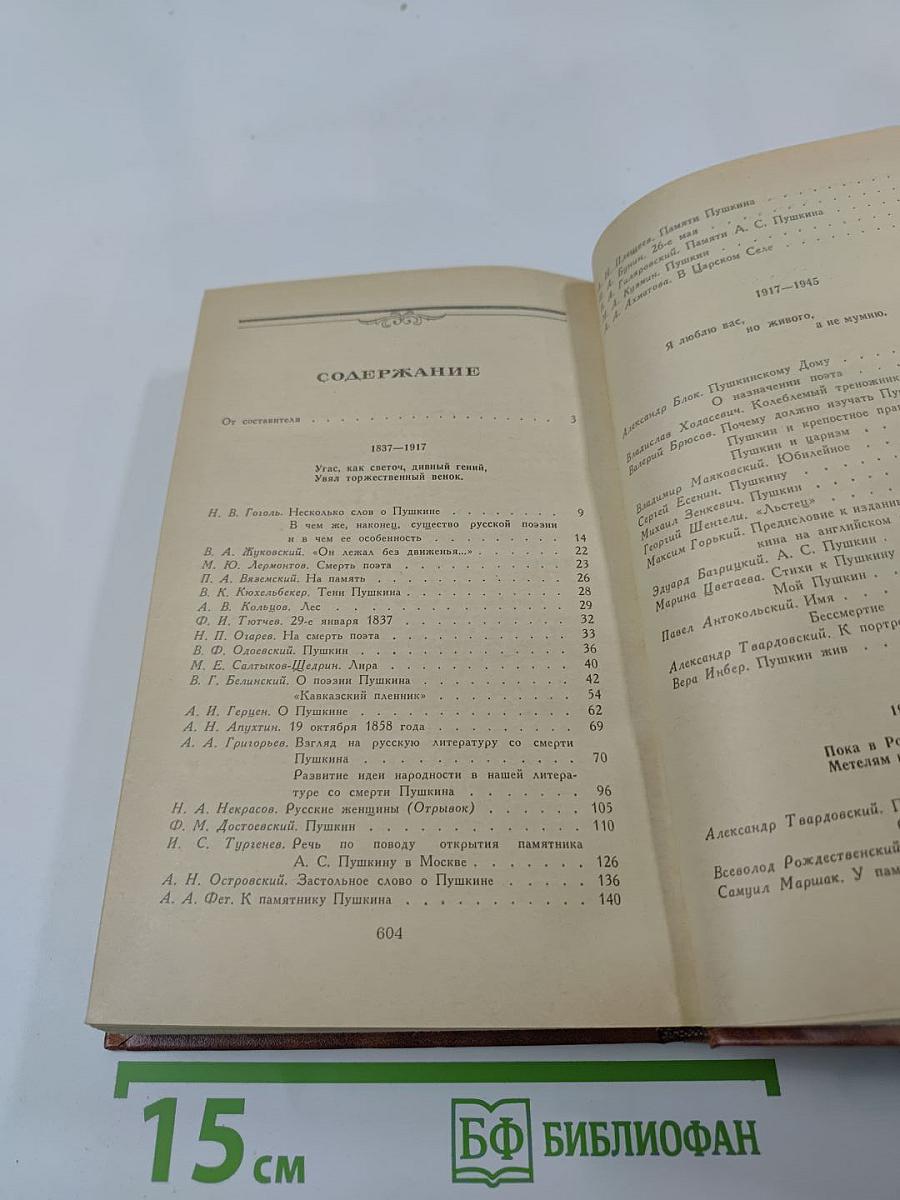 Светлое имя Пушкин