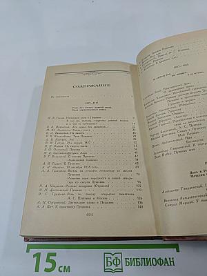 Светлое имя Пушкин