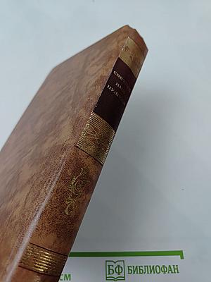 Светлое имя Пушкин