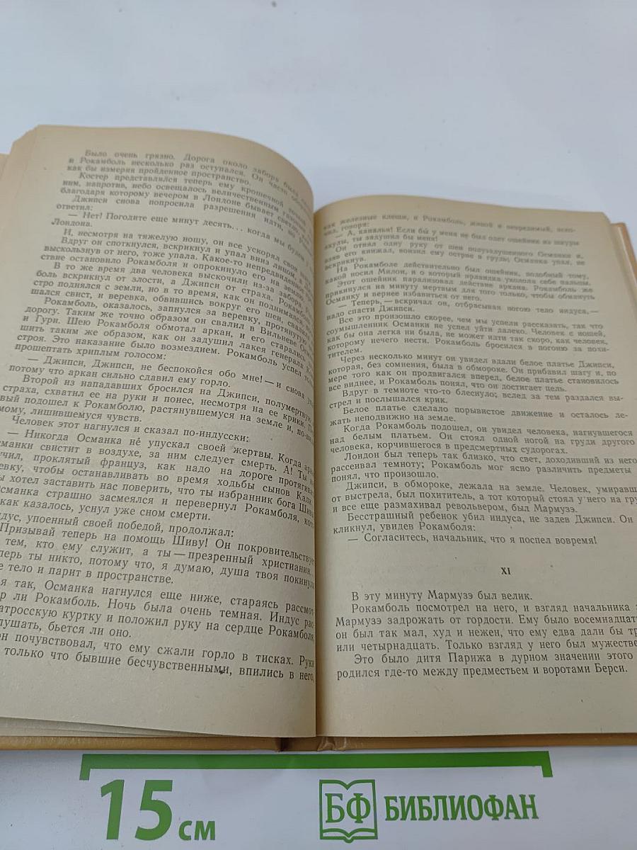 Полные похождения Рокамболя. Том IX: Опустошители (продолжение), Душители, или туги, Сын миледи