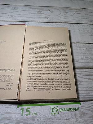 О Михаиле Фрунзе