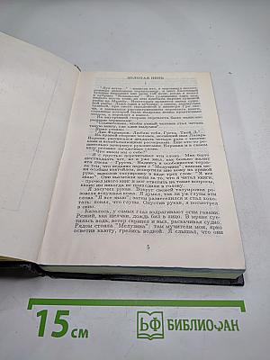 Золотая цепь