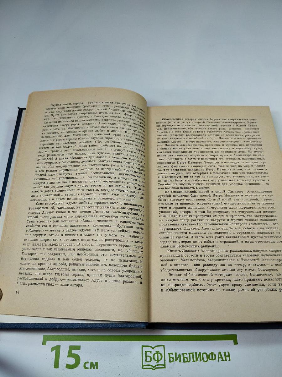 Обыкновенная история