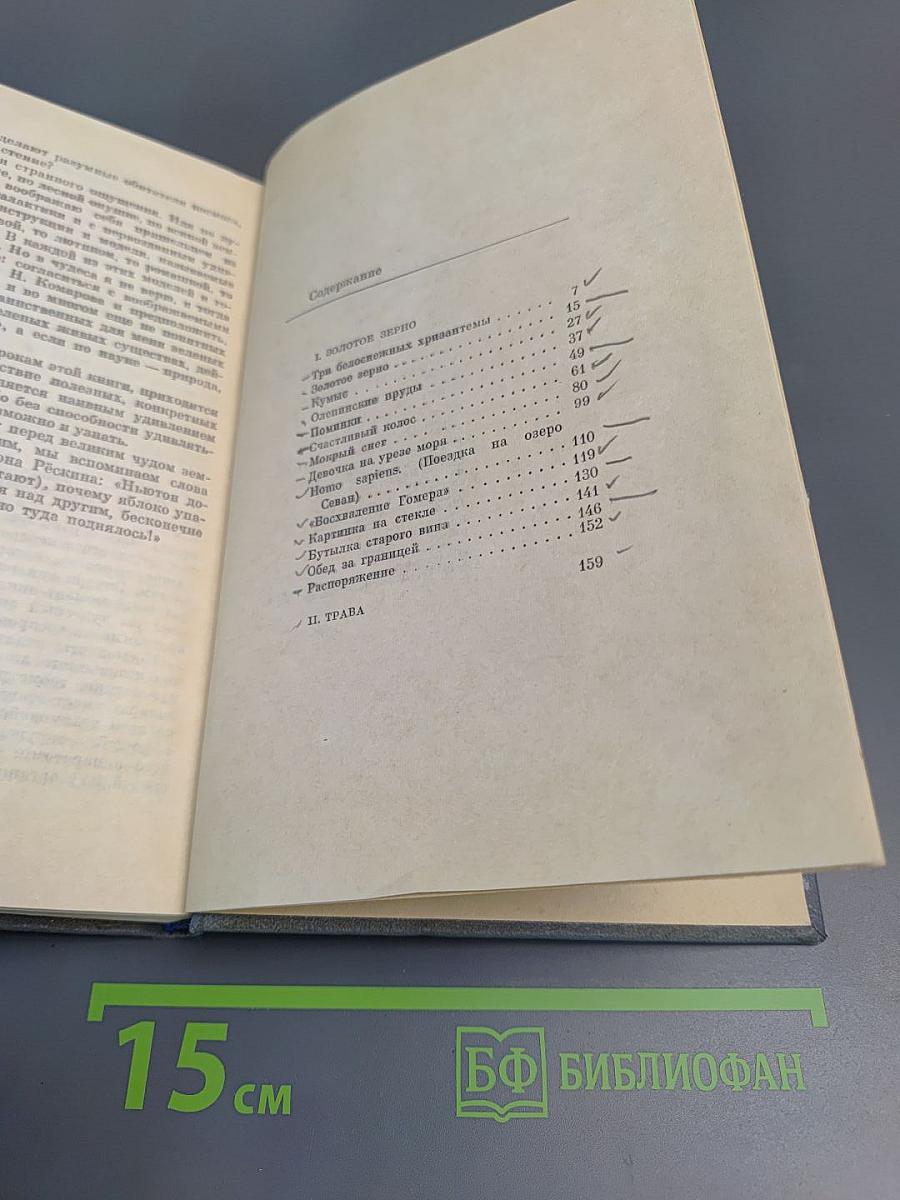 Оленинские пруды