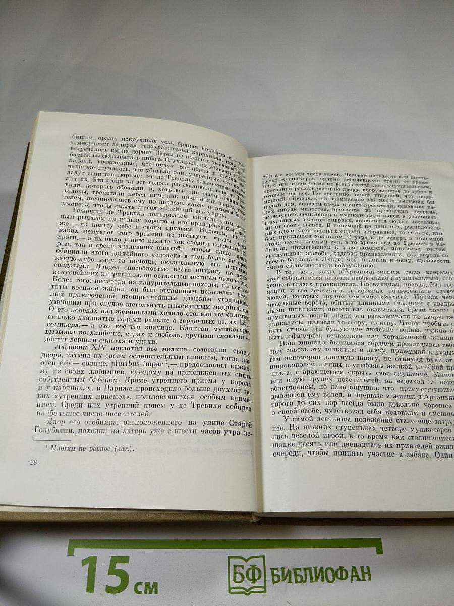 Три мушкетера