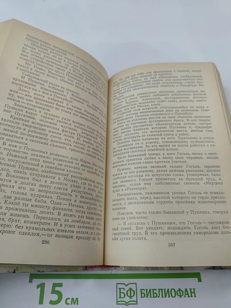 Степан Разин. Пушкин и Дантес. Кафе поэтов