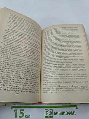 Степан Разин. Пушкин и Дантес. Кафе поэтов