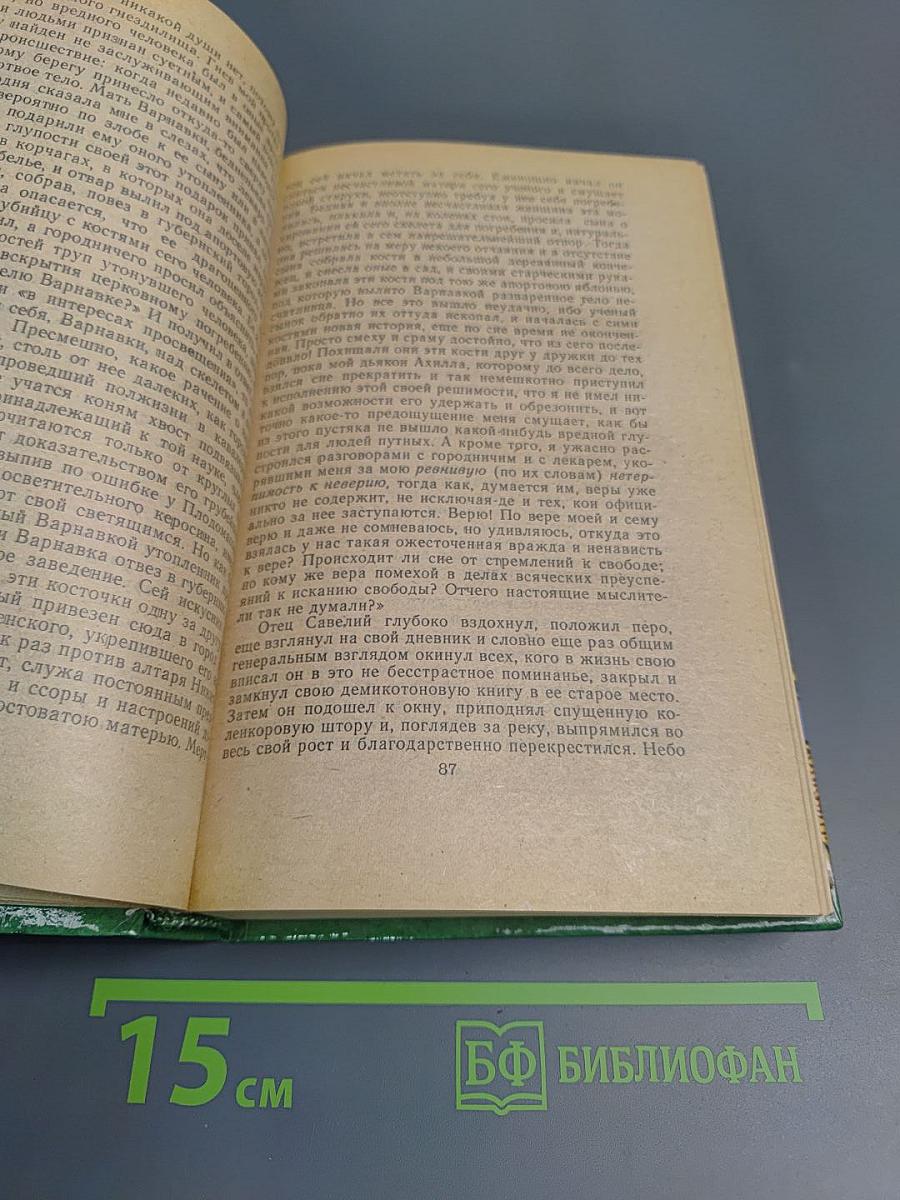 Соборяне. Захудалый род