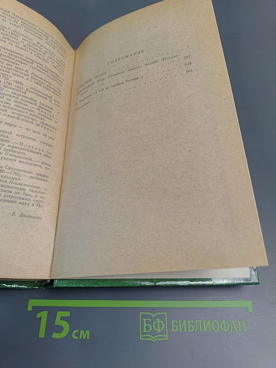 Соборяне. Захудалый род