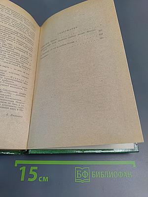 Соборяне. Захудалый род