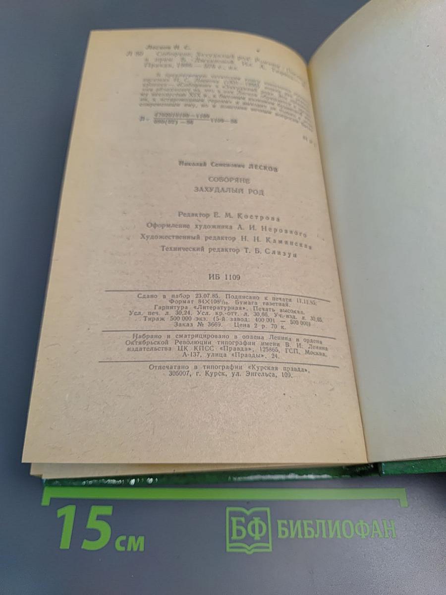 Соборяне. Захудалый род