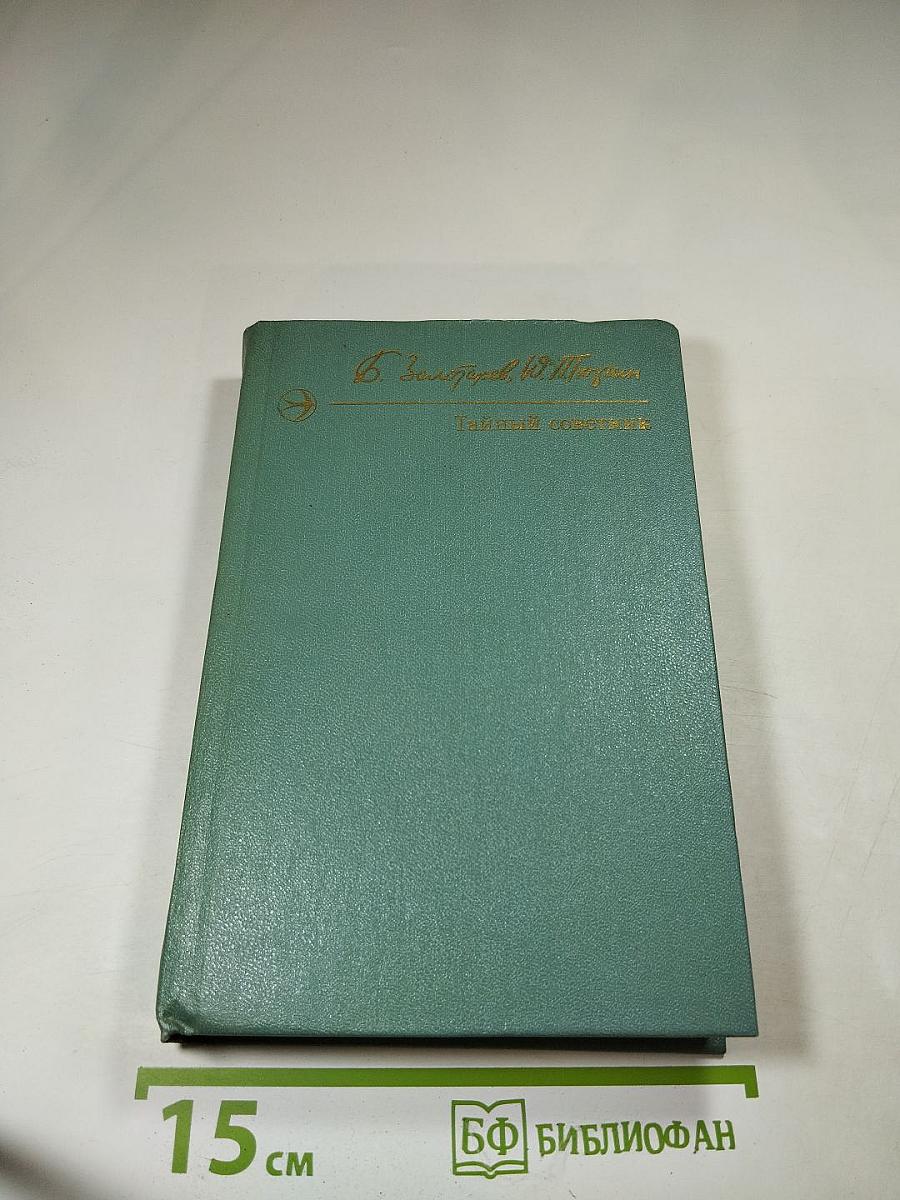 Тайный советник. Книга вторая